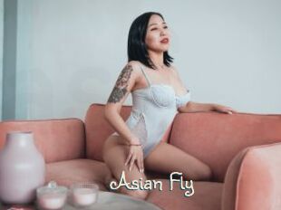 Asian_Fly