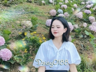 Daisy0188