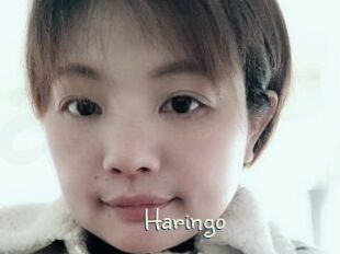 Haringo