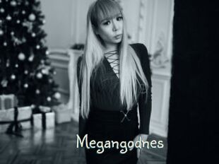 Megangodnes