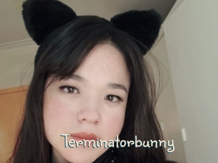 Terminatorbunny