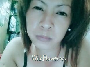 WildFlowerxx