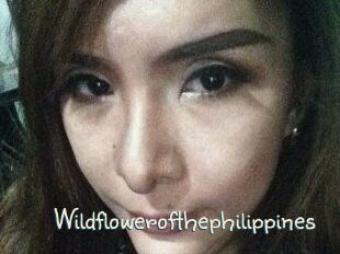 Wildflowerofthephilippines